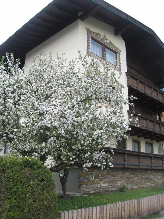 Gaestehaus Braunegger Stumm Dış mekan fotoğraf